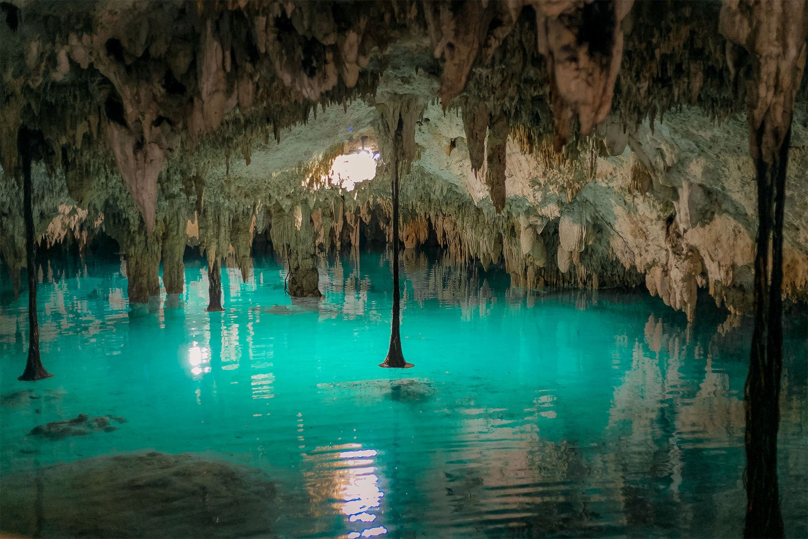 Turquoise cenote cave in the Riviera Maya