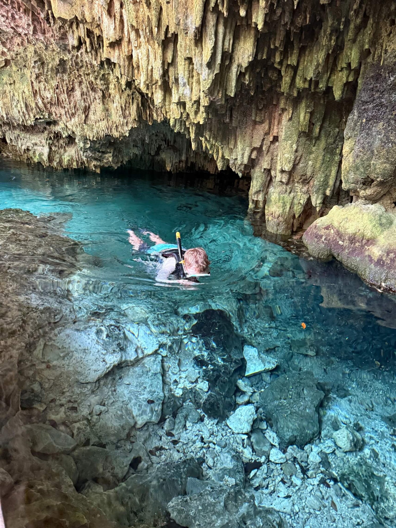 Snorkeling with Sea Turtles & Cenote photo 15