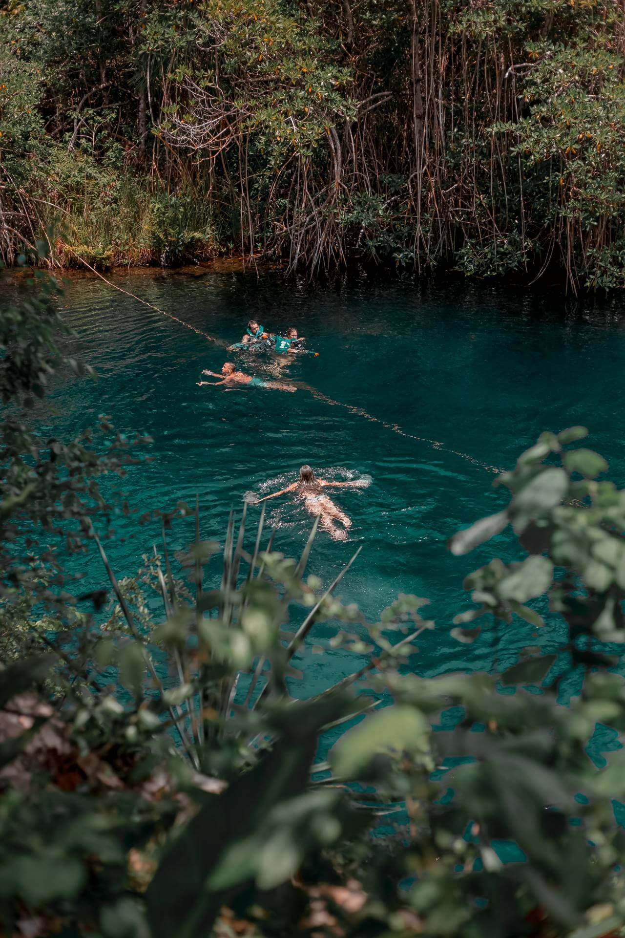 Hidden Cenotes Adventure photo 8