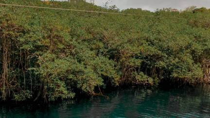 People floating on an open cenote